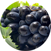 materia prima frutal: uvas