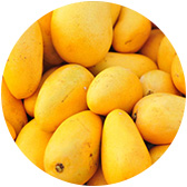 materia prima frutal: mangos