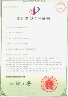 certificado de patente de naranja