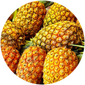 materia prima frutal: piñas