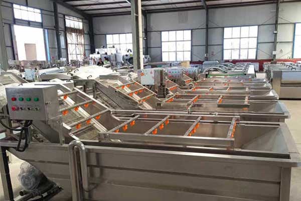 brush roller fruit and vegetable washing machine