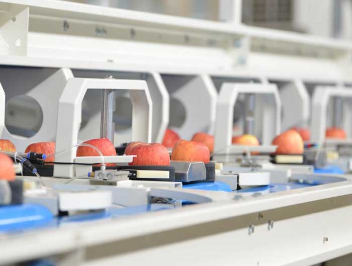 apple grading machine