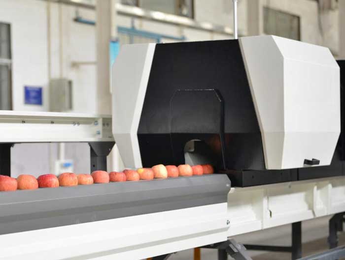 apple sorting equipment