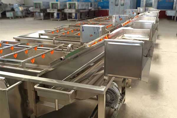 brush fruit vegetable washing machine
