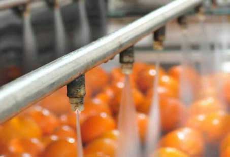 Bubble washing machine vegetable fruit working