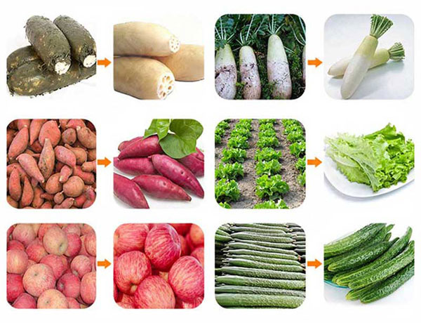 cleaned fruits and vegetables