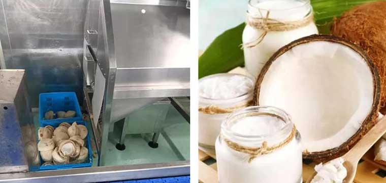 Processing coconut into juice
