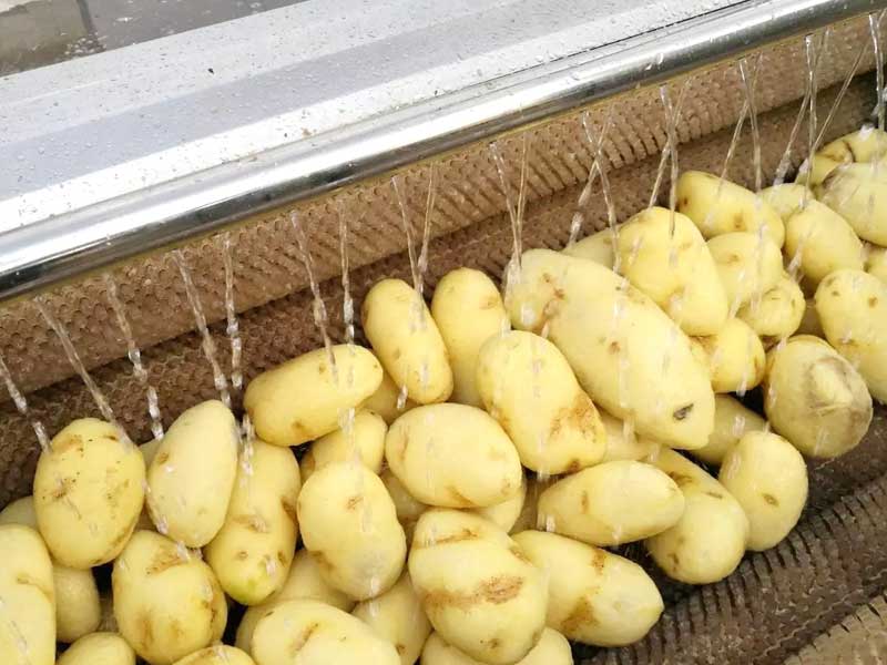 drum type fruit and vegetable washing machine