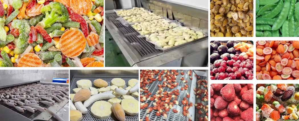 fast freezer machine application
