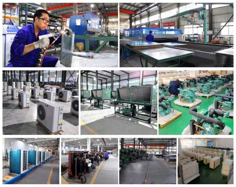 fast freezer machine processing factory
