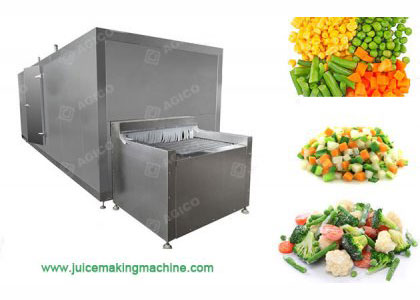 IQF Freezing Machine