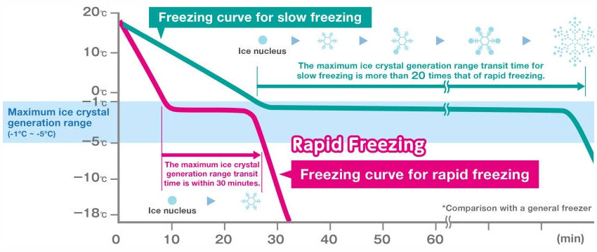 Freezing curve for fast and slow freezing