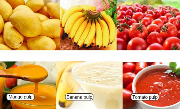 fruit pulper application