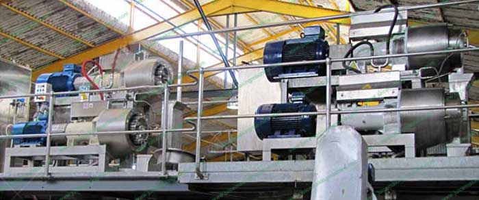 fruit pulper in factory