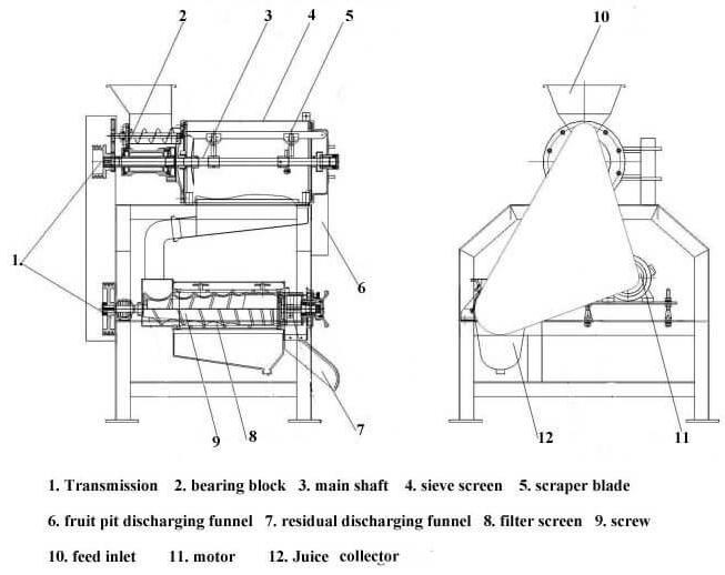 Fruit pulper structure