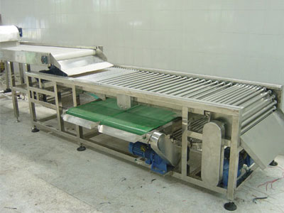 litchi fruit sorting machine