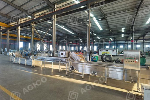 Mango pulp processing plant 1-3t/h 