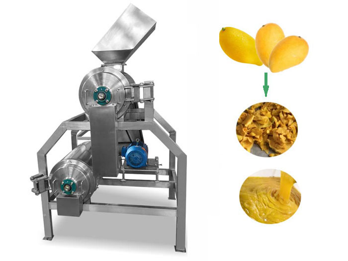 Mango pulp machine