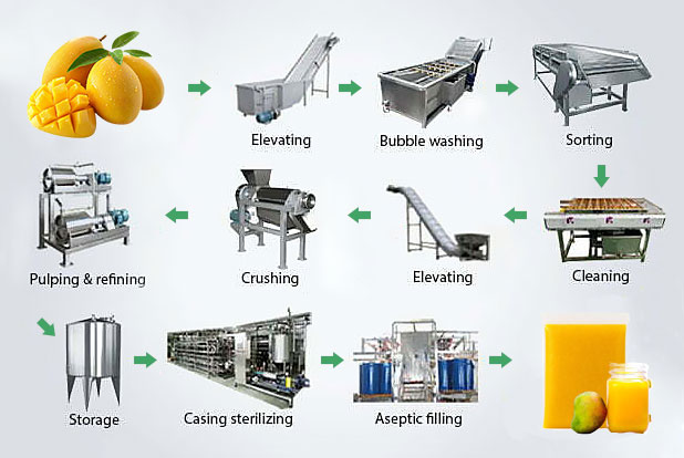 mango pulp making machine