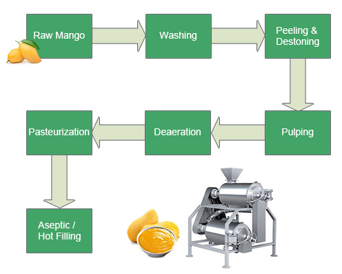 mango pulp processing plant procedures