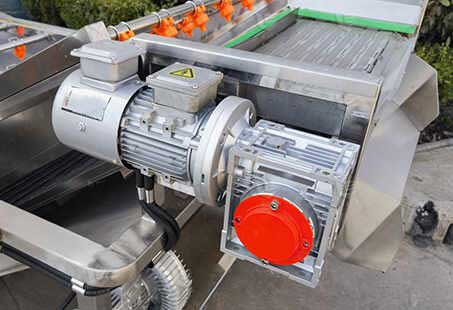 Motor and reduce