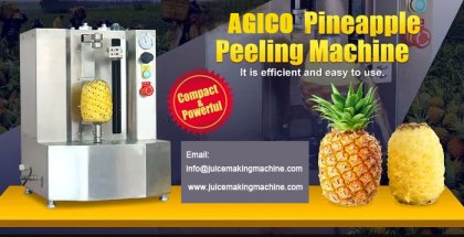 Industrial Automatic Pineapple Peeling Machine