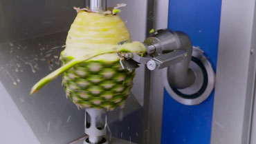 pineapple peeling machine working