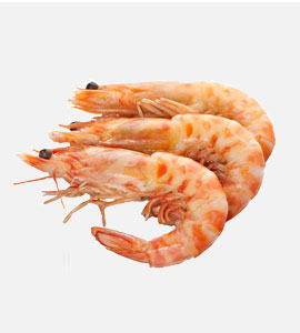 Seafood