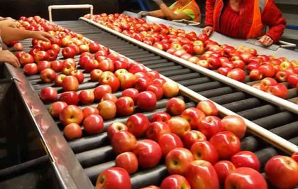 8 issues you must pay attention to in juice production process