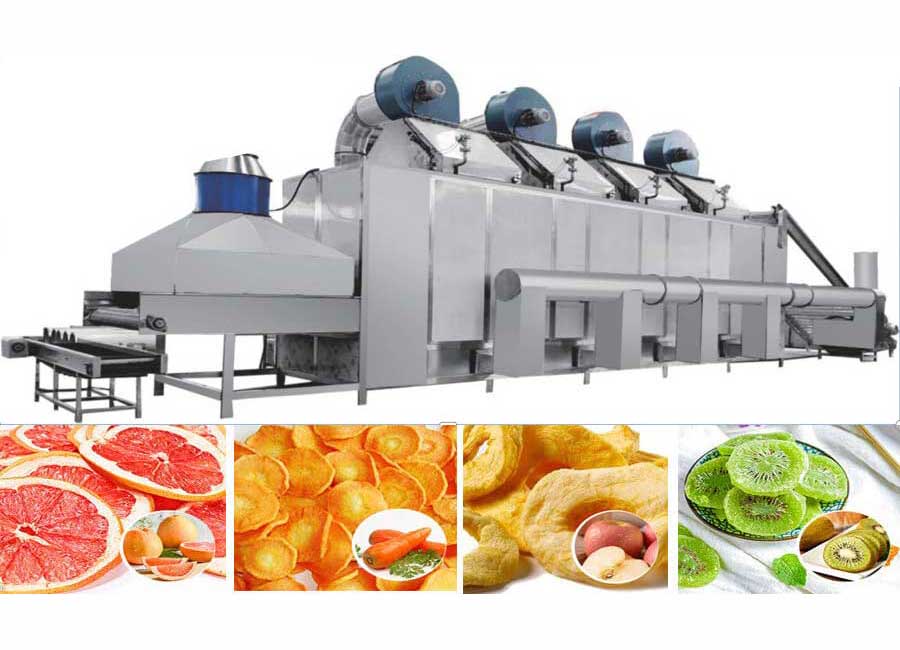 Mesh Belt Dryer